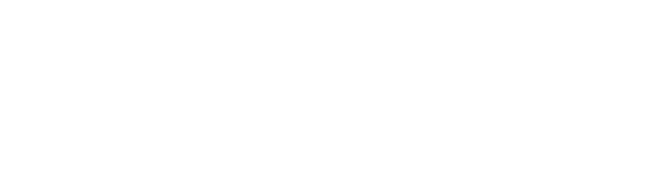Bob-Graham-Center-for-Public-Service-blue-orange-logo